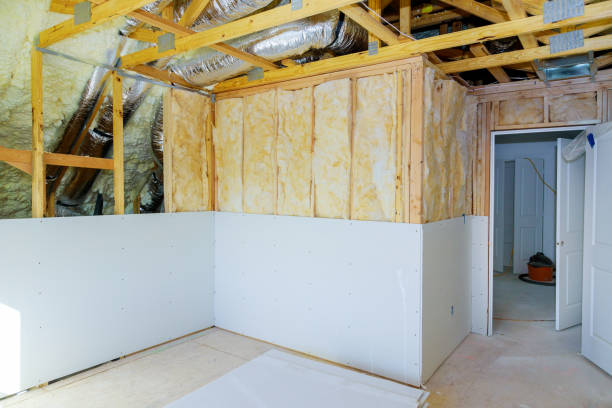 Best Insulation for Specific Applications in Selbyville, DE