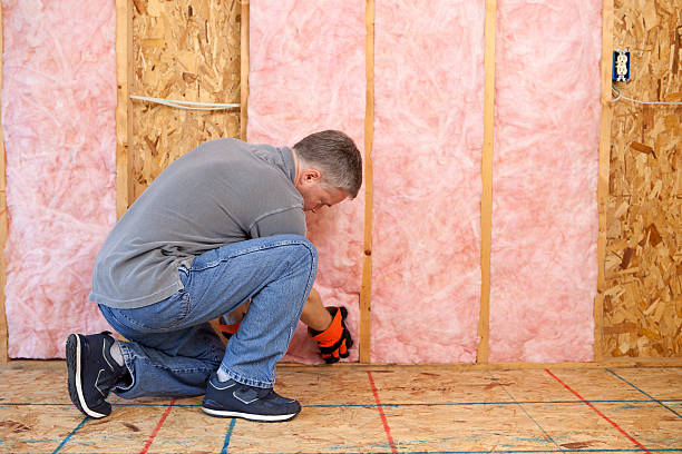 Best Spray Foam Insulation in Selbyville, DE