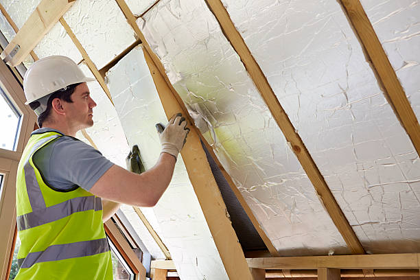 Best Eco-Friendly Insulation in Selbyville, DE