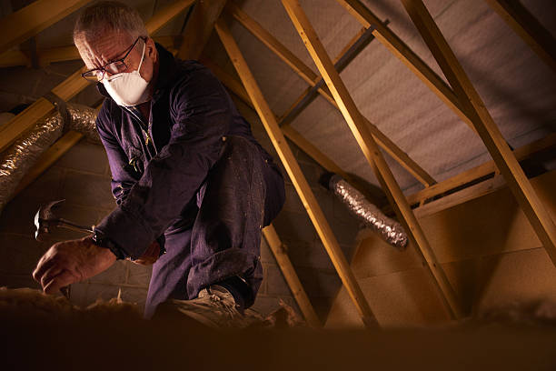 Best Geographic-Specific Insulation Services in Selbyville, DE