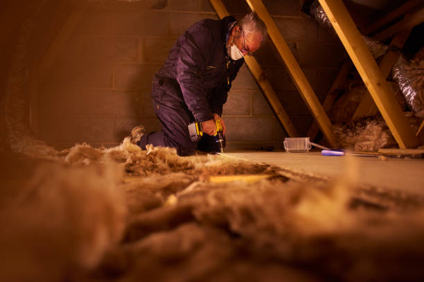 Best Blown-in Insulation in Selbyville, DE